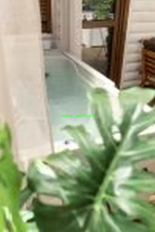 Apartman 1 terasz