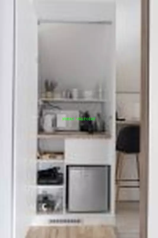 Apartman 4 mini konyha
