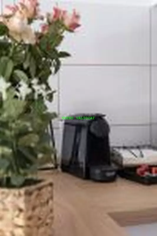 Apartman 1 konyha